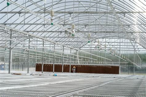 The Most Important Benefits Of A Greenhouse China Greenhouse