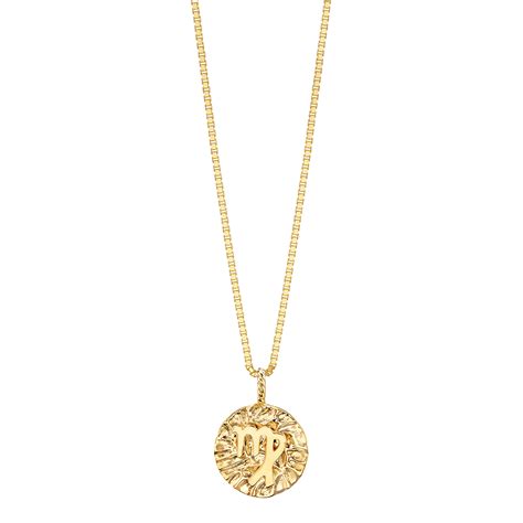 Virgo The Last Line Delicate Necklace Zodiac Pendant Gold Coins