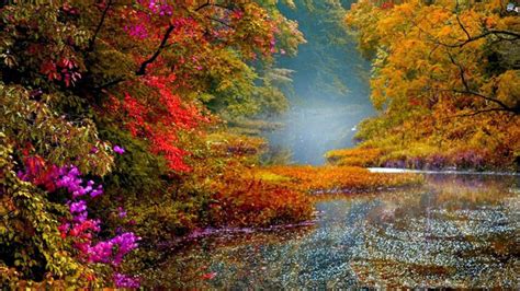 Beautiful Scenery Colorful Autumn Fall Trees Hd Scenery Wallpapers Hd