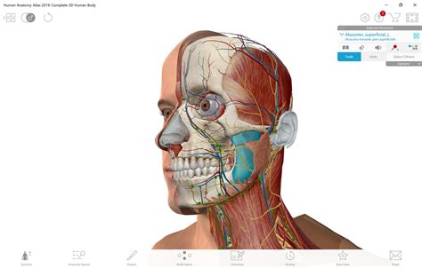 Human Anatomy Atlas 2019 Complete 3d Human Body By ‪visible Body