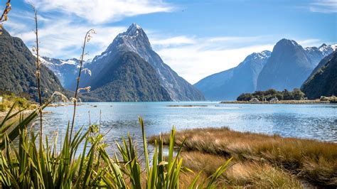 Travel To New Zealand To Start From July 1 Heres What You Need To