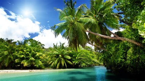 Palmen Tropische Meer Blaues Wasser Sommer 2560x1600 Hd