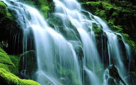 Green Cascading Waterfall Rocks Moss Green Wallpaper Hd