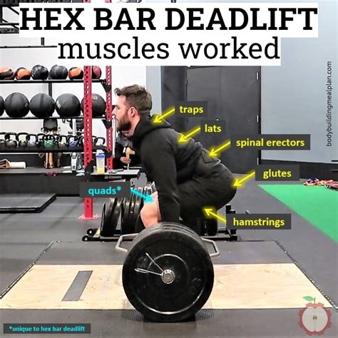 Hex Bar Deadlift Muscles Worked