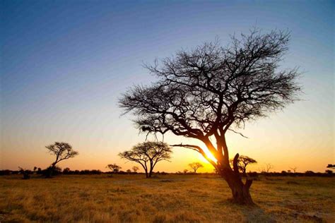 6 Day Explore Zimbabwe Budget Camping Safari African Overland Tours
