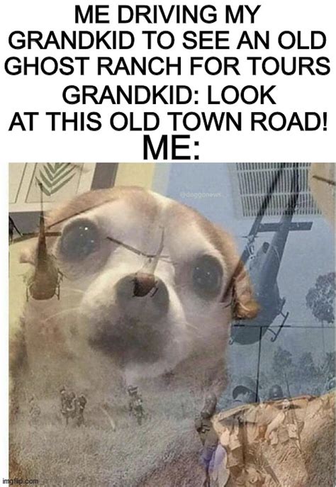 Ptsd Chihuahua Latest Memes Imgflip