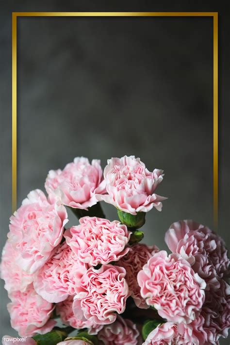 Download Premium Psd Of Golden Frame With Pink Carnation Wallpaper