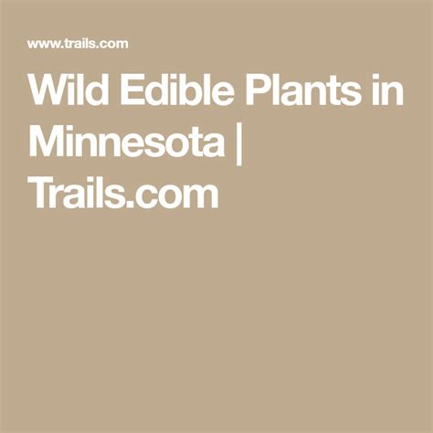 Wild Edible Plants In Minnesota Edible Plants Edible