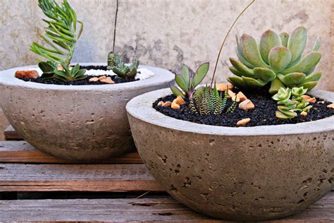 How To Make Concrete Planters: Learn About DIY Cement Planters