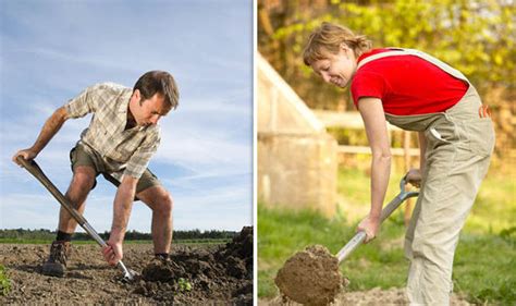 Dig For Health How To Turn Your Back On Gardening Pain Uk