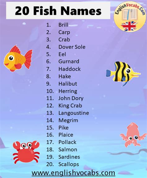 20 Fish Names List English Vocabs