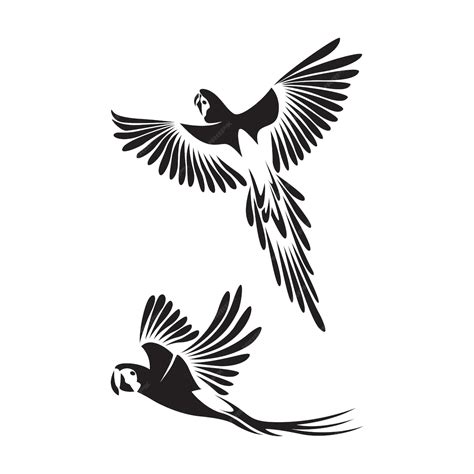 Arara Pássaro De Arara Voando Vector Ilustração Simples Silhueta De