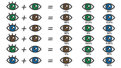 Common Eye Colors Cheap Sale Save 54 Jlcatjgobmx
