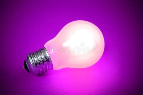 Light Bulb Stock Photo Image Of Glows Purple Bulb 15957988