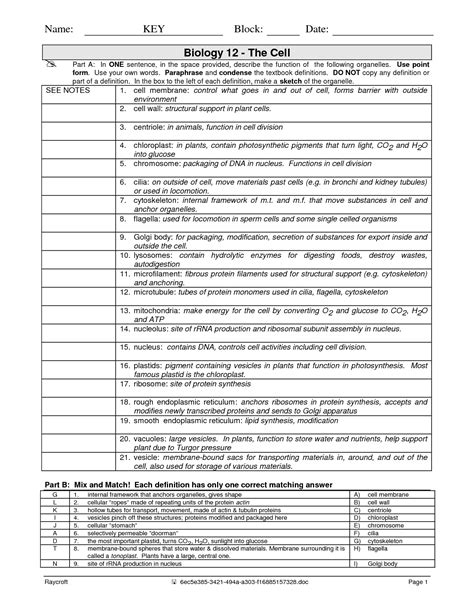 16 Cell Structure And Function Worksheet Answers