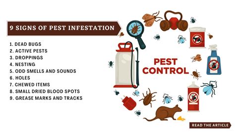 What Are The Signs Of Pest Infestation
