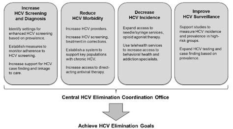 Strategies For The Elimination Of Hcv Infection As A Public Health