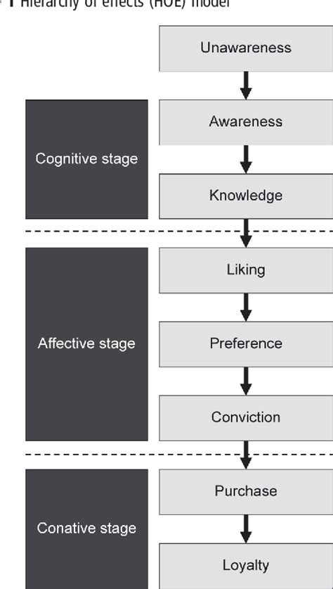 PDF The Impact of User Interactions in Social Media on ...