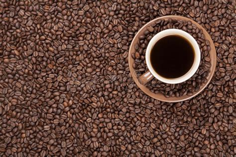 Brown Cup With Coffee On Coffee Beans Stock Photo Image Of Pile