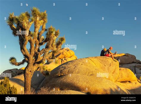 Tourists At Sunset Joshua Tree National Park Moon Moon Rise Mojave