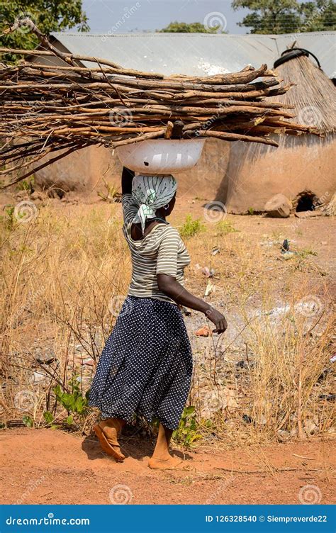 unidentified ghanaian woman carries wood over her head in a loc editorial image image of local