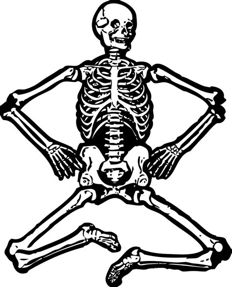 Squelette Humain Os Images Vectorielles Gratuites Sur Pixabay Pixabay