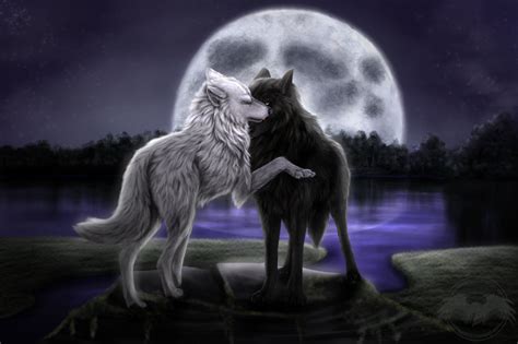 45 Wolves In Love Wallpapers On Wallpapersafari Wolf Painting