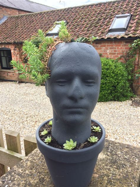 Pin By Lorraine Batty On Head Planter Face Planters Head Planters
