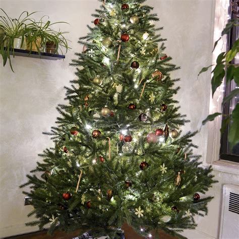 Apr 21, 2021 · spruce trees are robust evergreen trees that grow in cooler climates and are often used as christmas trees during the holiday season. Norway Green Spruce Artificial Christmas Tree: Great Value
