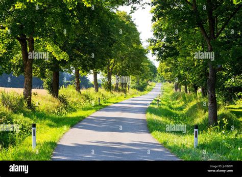Austria Avenue In Franzen Hi Res Stock Photography And Images Alamy
