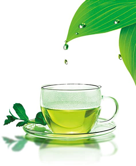 Download Green Tea Png Image Hq Png Image Freepngimg Images