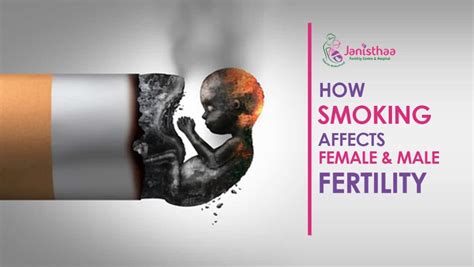 Smoking And Infertility How Smoking Affects Female And Male Fertility Janisthaa Fertility