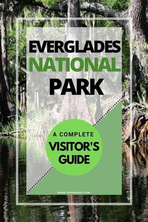 Everglades National Park A Complete Visitors Guide Trip Memos