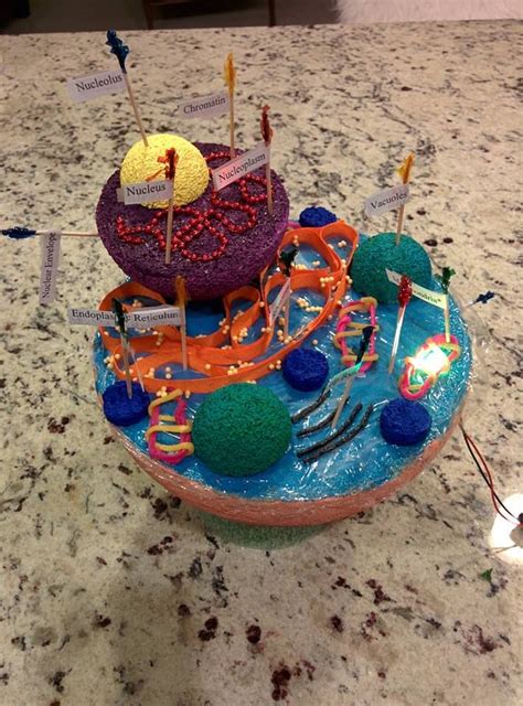 All you need to make your model is glue, plus a heaping helping of patience, a lot of time and preferably a friend to assist and mop your. 276 best DIY Kid's Projects images on Pinterest | Diy org ...