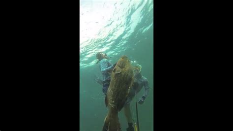 Spearfishing Big Grouper In Bahamas Youtube