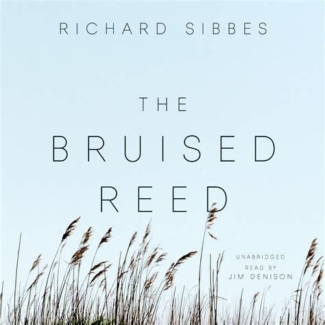 The Bruised Reed Audiobook Written By Richard Sibbes