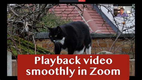 How to play music on zoom webinar. How to Play your Videos Smoothly in your Zoom Meeting or ...