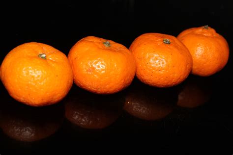 Four Oranges Fruit Free Stock Photo Public Domain Pictures