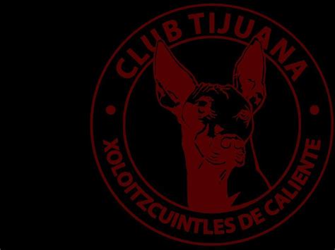 It is found in estándar (standard), intermedio (intermediate), and miniatura. Xolos Wallpapers - Wallpaper Cave