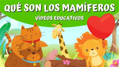 Animales MamÍferos ® ¿qué Son Características Y Clasificación