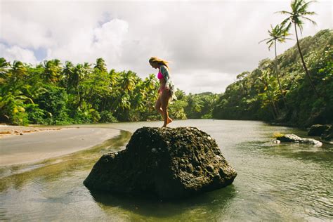dominica the nature island — sarah lee photo