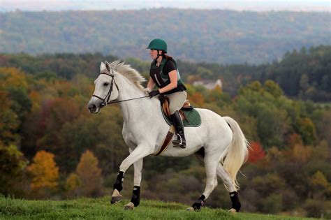 By 1912, all three olympic disciplines still seen today were part of the games. Houghton equestrian facility top 20 nationally - The ...