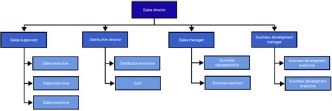 Sales Organizational Chart Example And Free Template Slickplan
