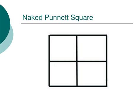 PPT Punnett Squares PowerPoint Presentation Free Download ID 5272287