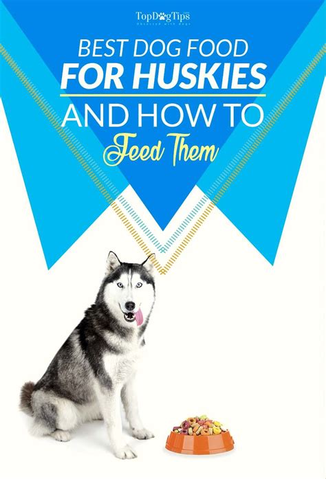 The best cheap puppy food for the money is pedigree complete nutrition puppy dry dog food. Best Dog Food for Huskies in 2020: The 5 Vet Recommended ...