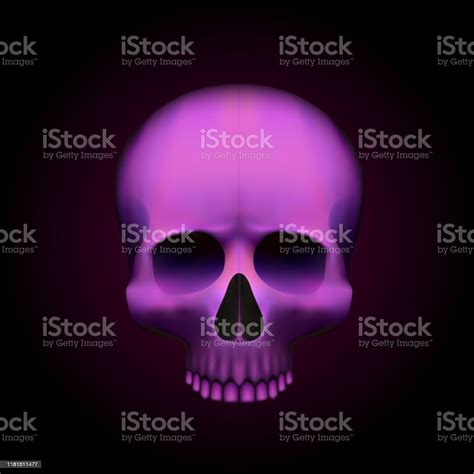 Human Skull Isolated On Black Color Pink Object Stock Illustration