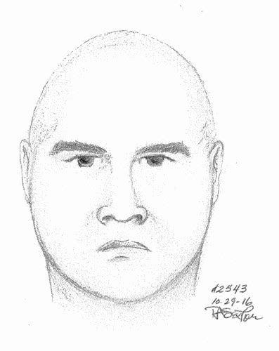 updated police release composite sketches of suspects in falls church area sexual assault