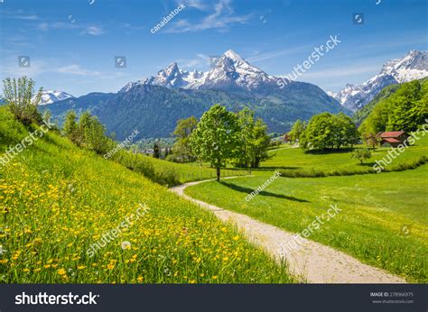 Idyllic Summer Landscape Alps Fresh Green Stock Photo 278966975