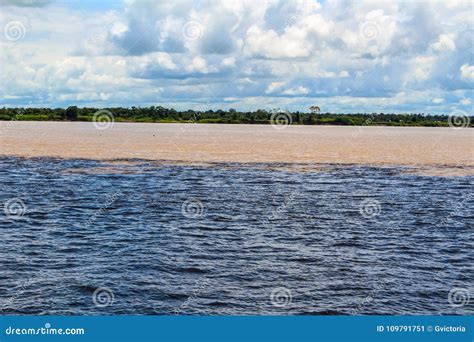 Meeting Of The Waters Of Rio Negro And Amazon River Stock Image Image