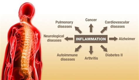 8 Risk Factors For Chronic Inflammation And What To Do About It Garma
